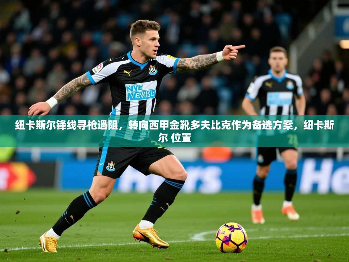 2025乐鱼体育纽卡斯尔锋线寻枪遇阻，转向西甲金靴多夫比克作为备选方案，纽卡斯尔 位置  第1张