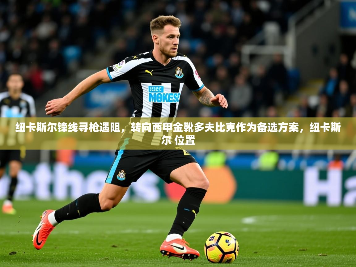 2025乐鱼体育纽卡斯尔锋线寻枪遇阻，转向西甲金靴多夫比克作为备选方案，纽卡斯尔 位置  第4张