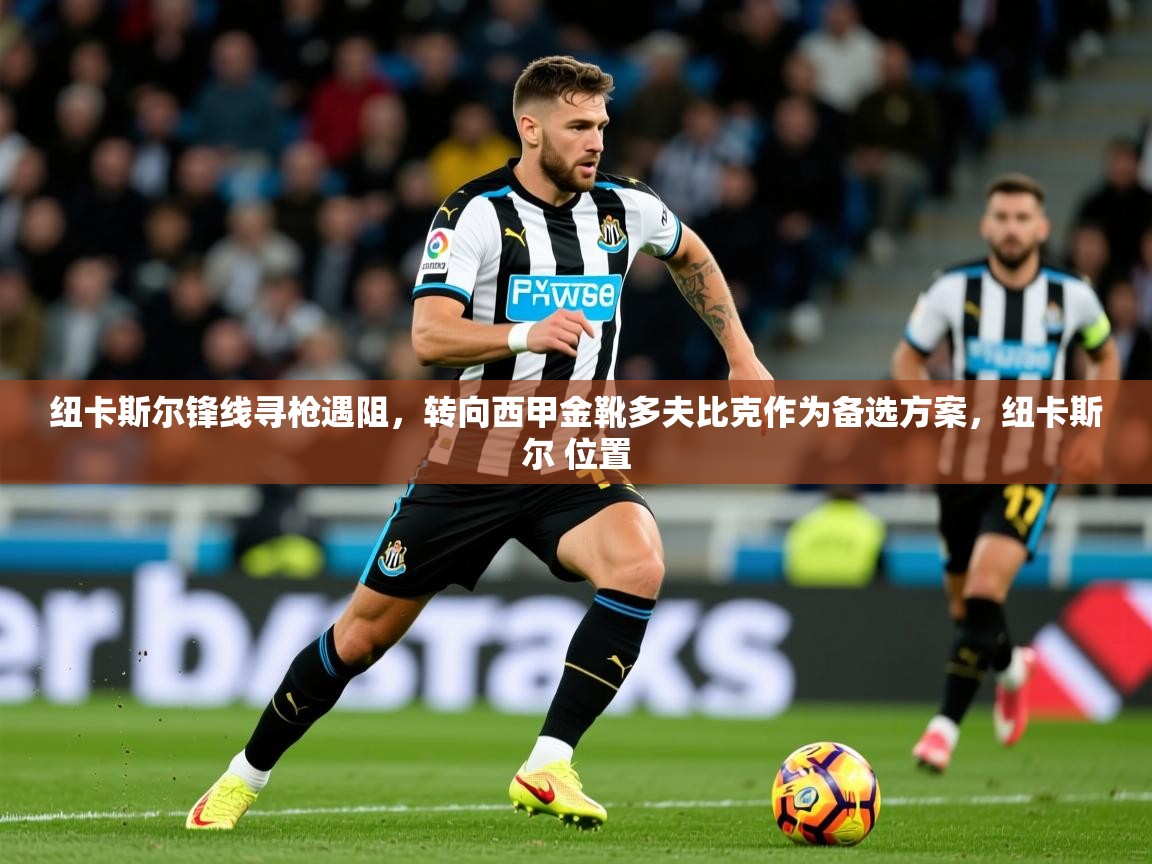 2025乐鱼体育纽卡斯尔锋线寻枪遇阻，转向西甲金靴多夫比克作为备选方案，纽卡斯尔 位置  第3张